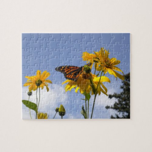 Butterfly and the Sunflower puzzle