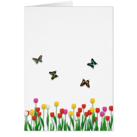 Butterfly and Tulips Cards (Front)