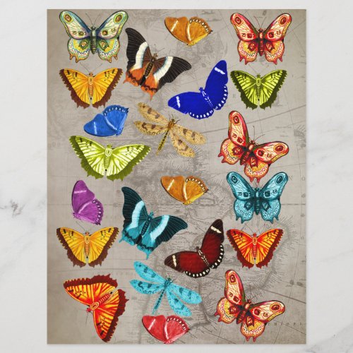 Butterfly And Vintage Map Scrapbook Paper