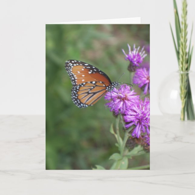 Butterfly and Wildflower Greeting Card (Front)