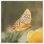 Butterfly Art 32 Options Custom Fabric