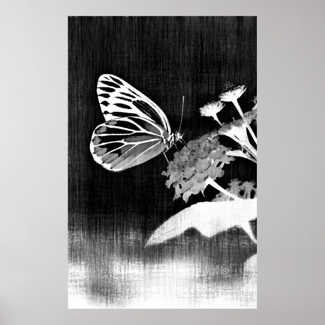 Butterfly Art | Black and White Poster (Front)