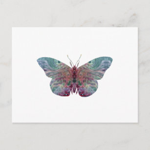 Butterfly art postcard