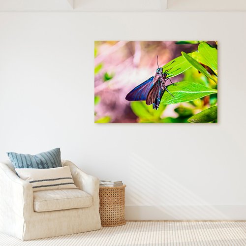 Butterfly at Bahia Honda Beach Florida Keys Canvas Print