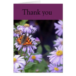 Butterfly At Rest On Flowers Thankyou Card