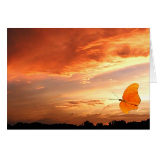Butterfly at sunset cards (Front Horizontal)