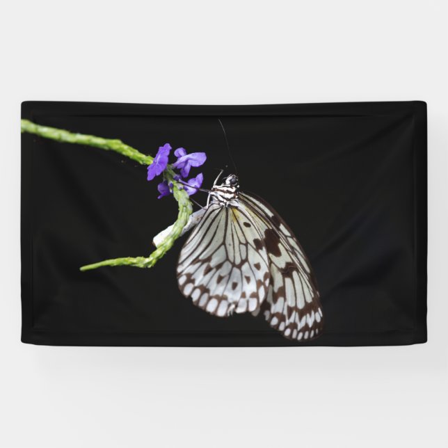Butterfly Banner (Horizontal)