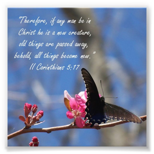 Butterfly Baptism 2 Corinthians 5:17 Verse Print (Front)