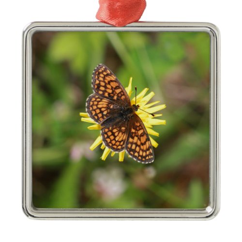 Butterfly - Beautiful! Metal Ornament
