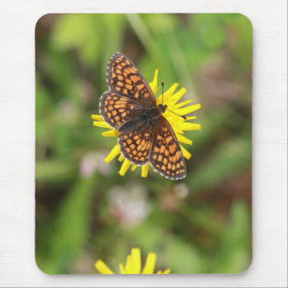 Butterfly - Beautiful! Mouse Pad