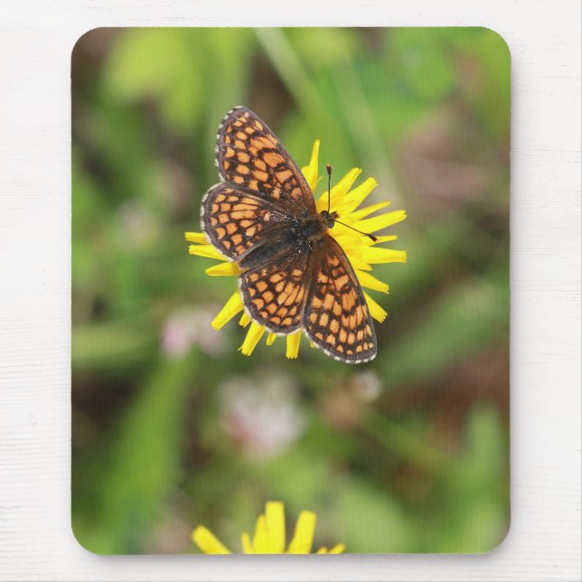 Butterfly - Beautiful! Mouse Pad (Front)
