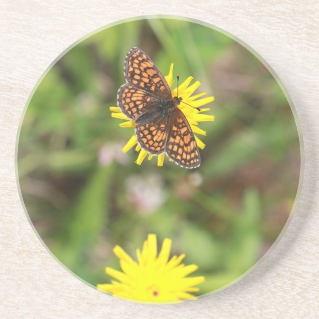 Butterfly - Beautiful! Sandstone Coaster (Front)