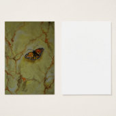 Butterfly Beauty (Front & Back)