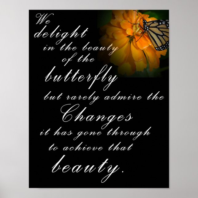 Butterfly Beauty Poster (Front)