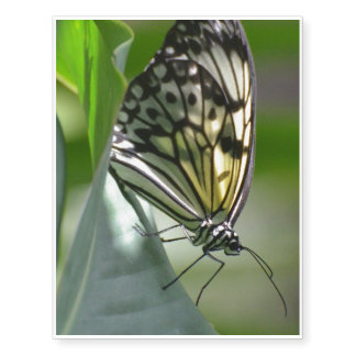 Butterfly Beauty Temporary Tattoos