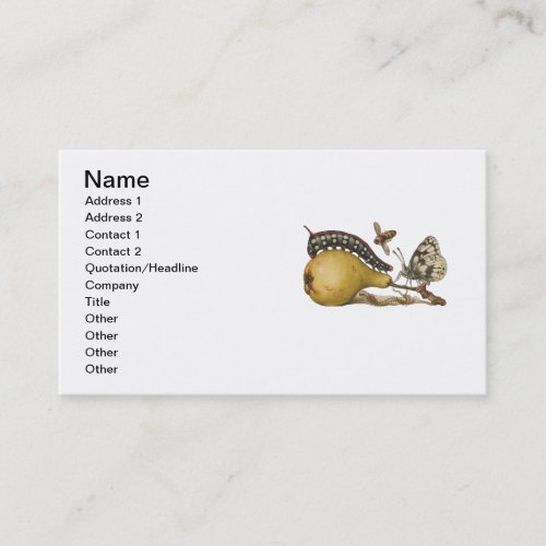 Butterfly Bee Fruit Insect Illustration Business Card