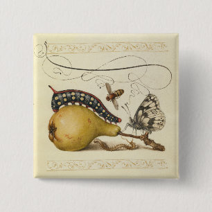 Butterfly Bee Fruit Insect Illustration Button
