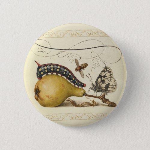 Butterfly Bee Fruit Insect Illustration Button