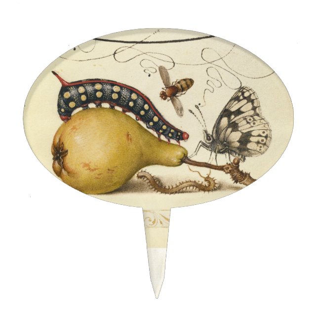 Butterfly Bee Fruit Insect Illustration Cake Topper (Front)