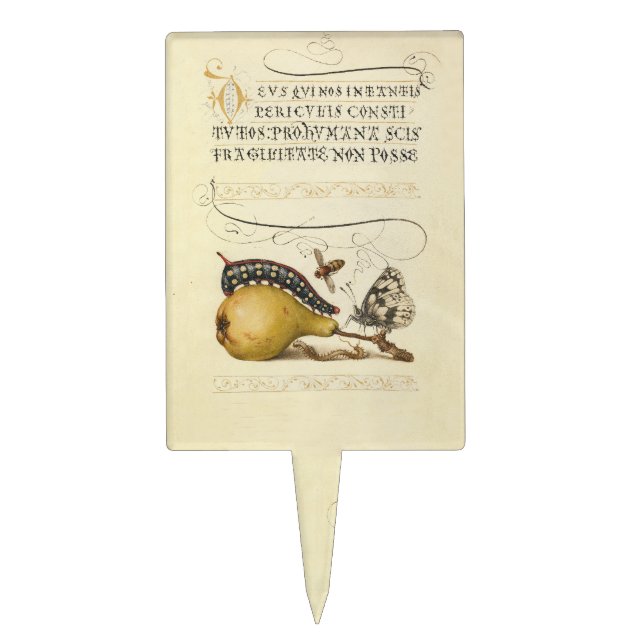 Butterfly Bee Fruit Insect Illustration Cake Topper (Front)