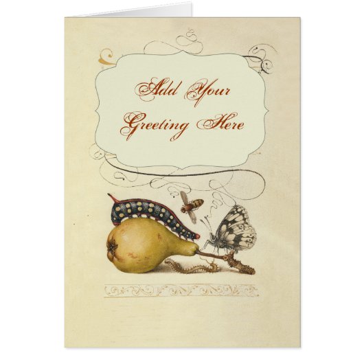 Butterfly Bee Fruit Insect Illustration Cards (Front)