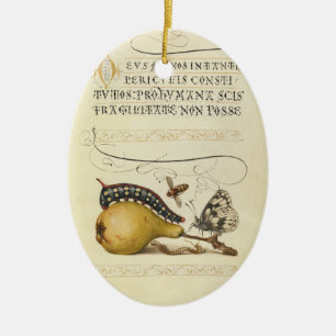 Butterfly Bee Fruit Insect Illustration Ceramic Ornament