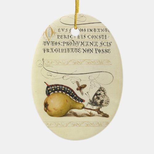 Butterfly Bee Fruit Insect Illustration Ceramic Ornament