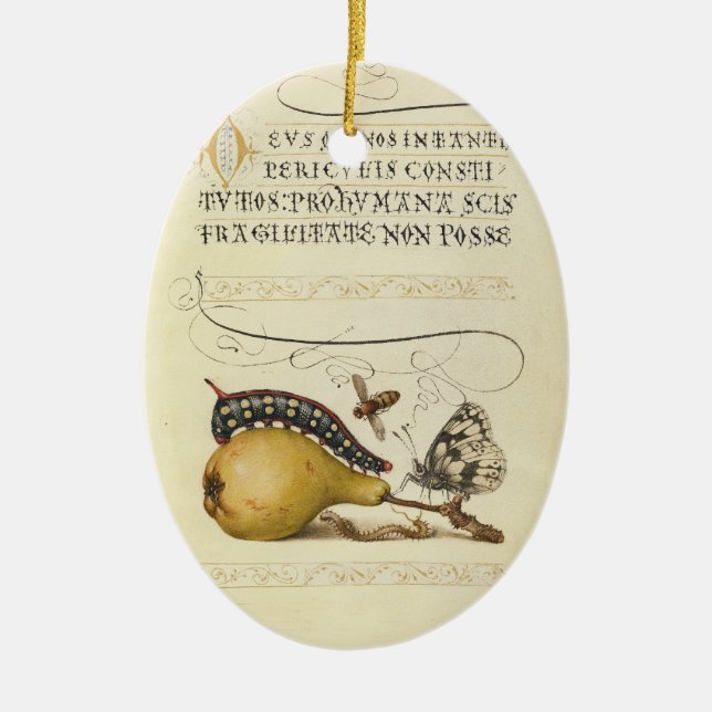 Butterfly Bee Fruit Insect Illustration Ceramic Ornament (Front)
