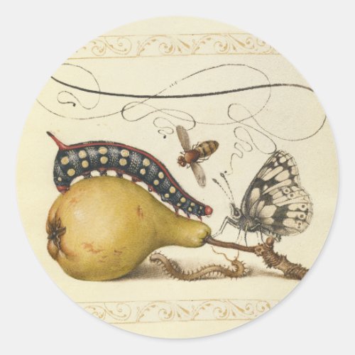 Butterfly Bee Fruit Insect Illustration Classic Round Sticker