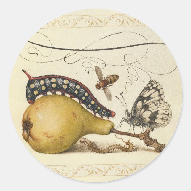 Butterfly Bee Fruit Insect Illustration Classic Round Sticker (Front)