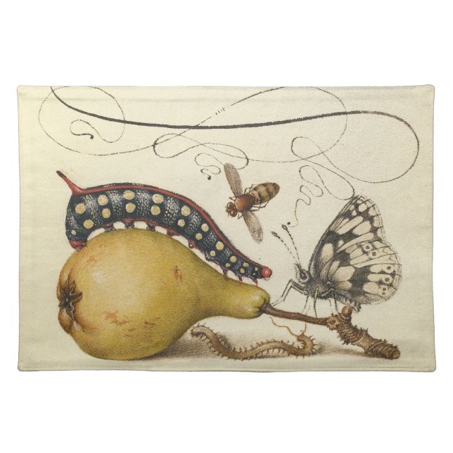 Butterfly Bee Fruit Insect Illustration Cloth Placemat (Front)