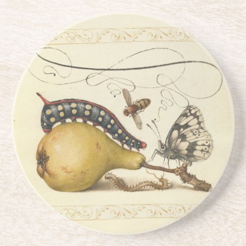 Butterfly Bee Fruit Insect Illustration Coaster
