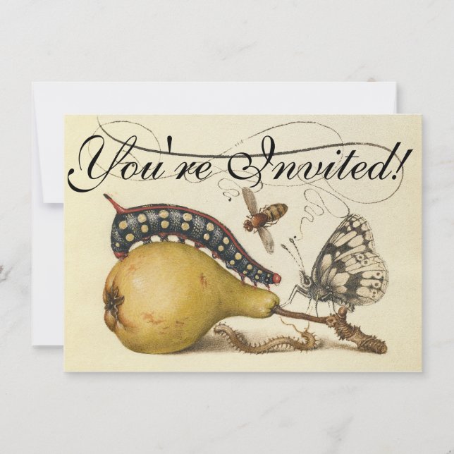 Butterfly Bee Fruit Insect Illustration Invitation (Front)