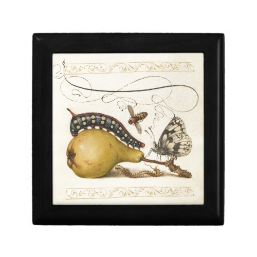 Butterfly Bee Fruit Insect Illustration Keepsake Box