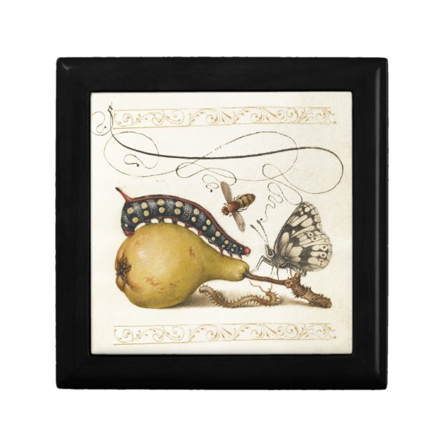 Butterfly Bee Fruit Insect Illustration Keepsake Box (Front)
