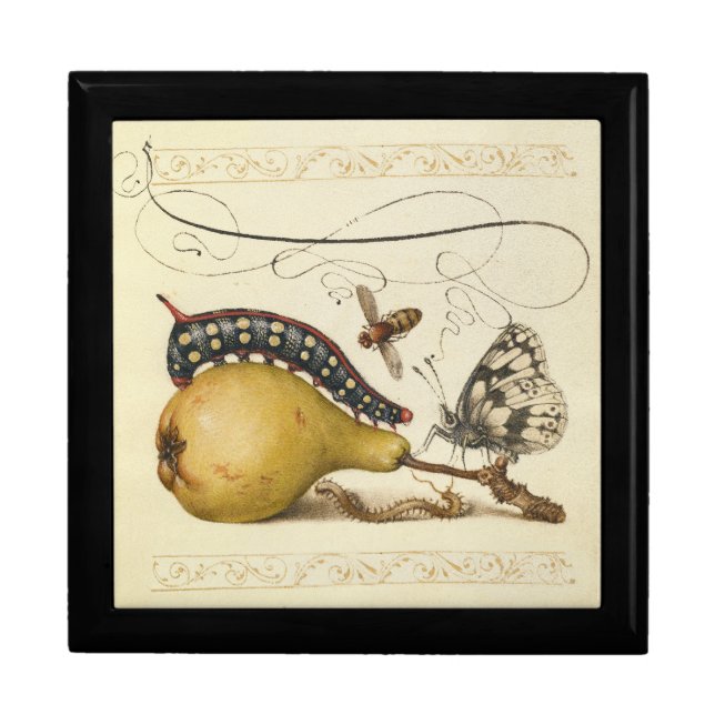 Butterfly Bee Fruit Insect Illustration Keepsake Box (Front)