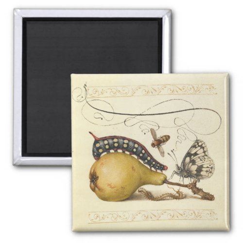 Butterfly Bee Fruit Insect Illustration Magnet