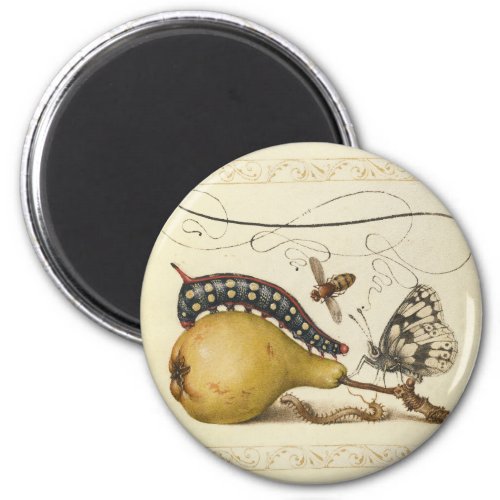 Butterfly Bee Fruit Insect Illustration Magnet