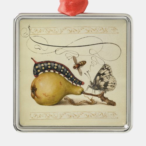 Butterfly Bee Fruit Insect Illustration Metal Ornament