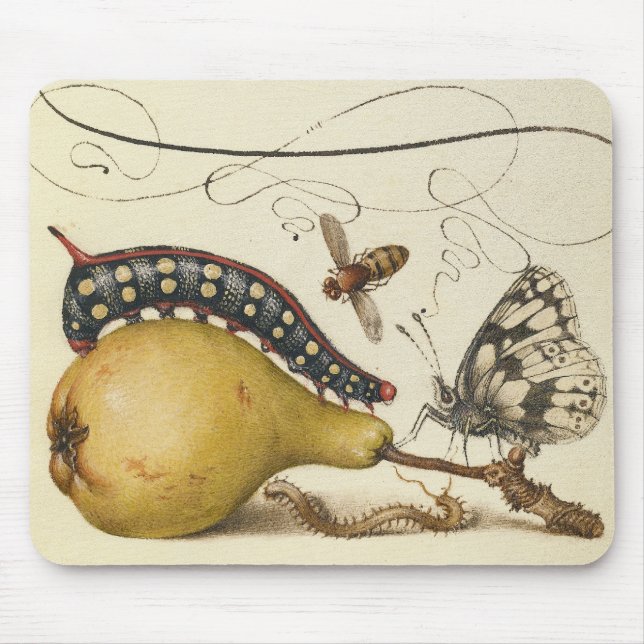 Butterfly Bee Fruit Insect Illustration Mouse Pad (Front)