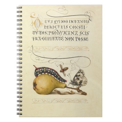 Butterfly Bee Fruit Insect Illustration Notebook