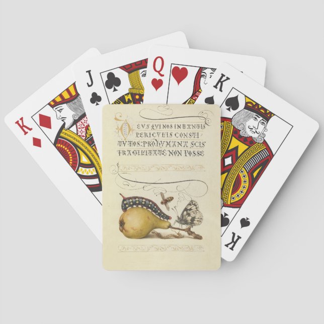 Butterfly Bee Fruit Insect Illustration Poker Cards (Back)