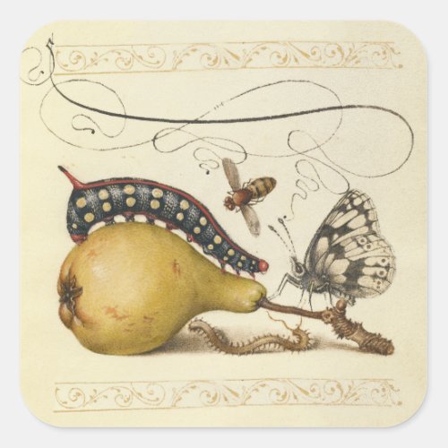 Butterfly Bee Fruit Insect Illustration Square Sticker