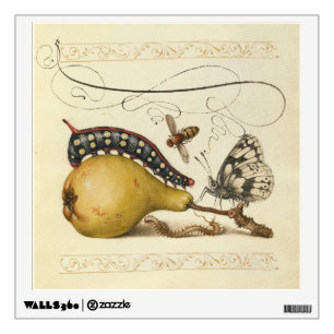 Butterfly Bee Fruit Insect Illustration Wall Sticker