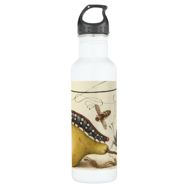 Butterfly Bee Fruit Insect Illustration Water Bottle (Front)