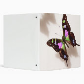 Butterfly Binder | Zazzle