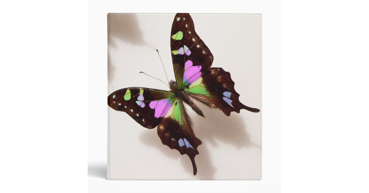 Butterfly Binder | Zazzle
