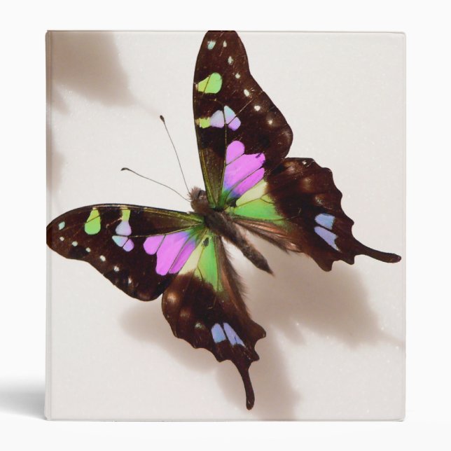 Butterfly Binder (Front)