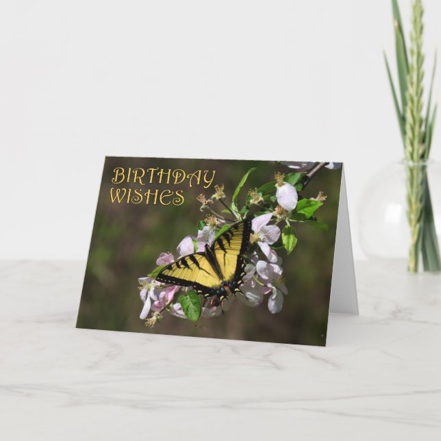 Butterfly Birthday 1 Card (Front)