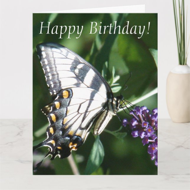 Butterfly Birthday Big Greeting Card (Front)